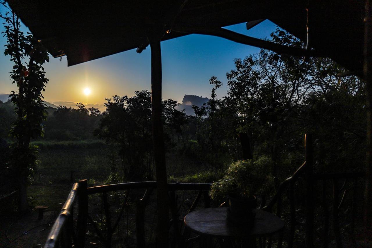 Hotel Sigiriya Rock Gate Tree House Extérieur photo