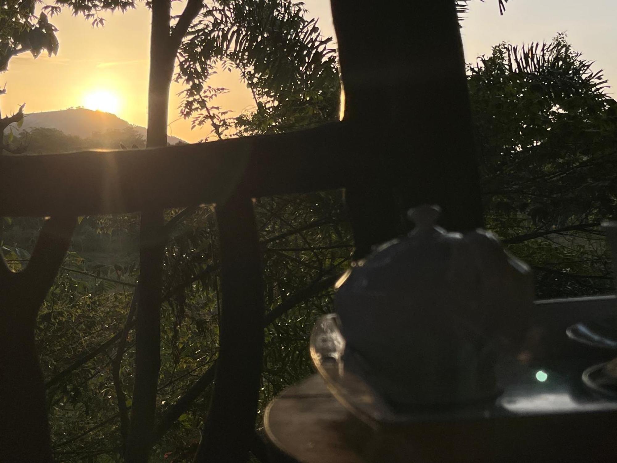 Hotel Sigiriya Rock Gate Tree House Extérieur photo