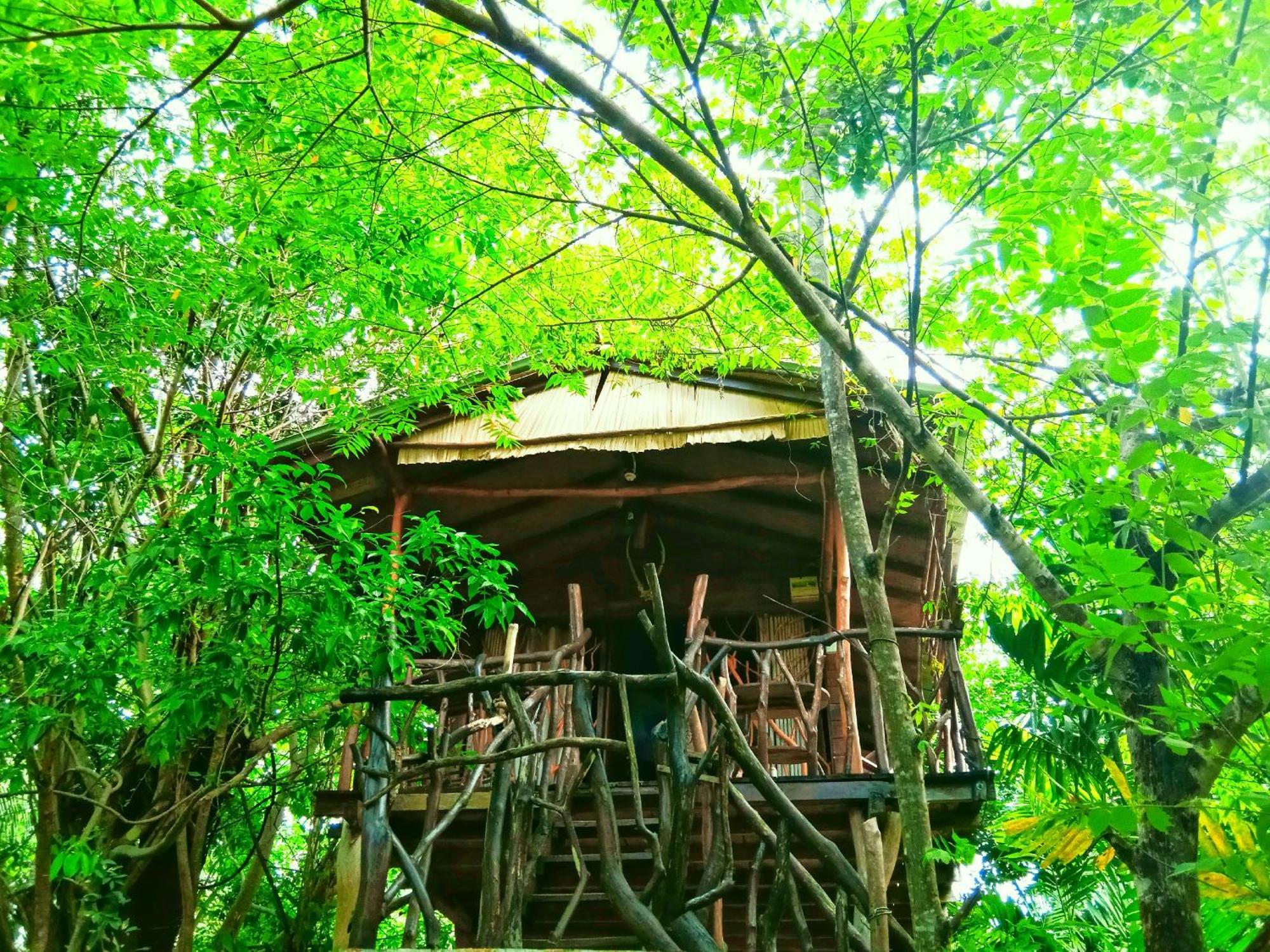 Hotel Sigiriya Rock Gate Tree House Extérieur photo